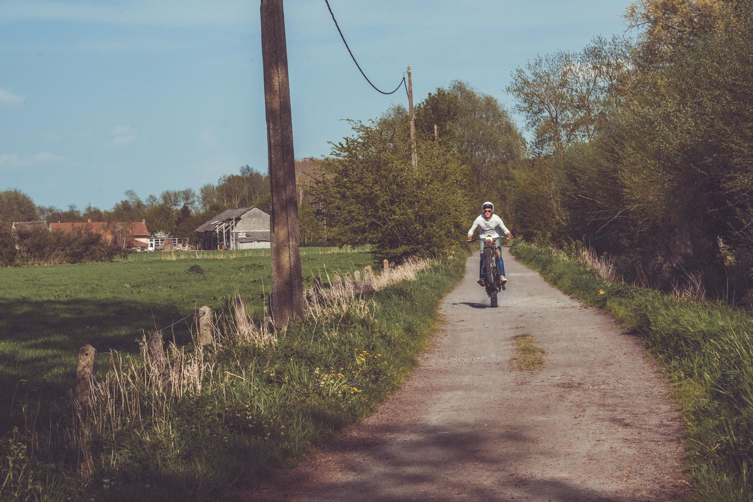Promenons nous dans les bois !